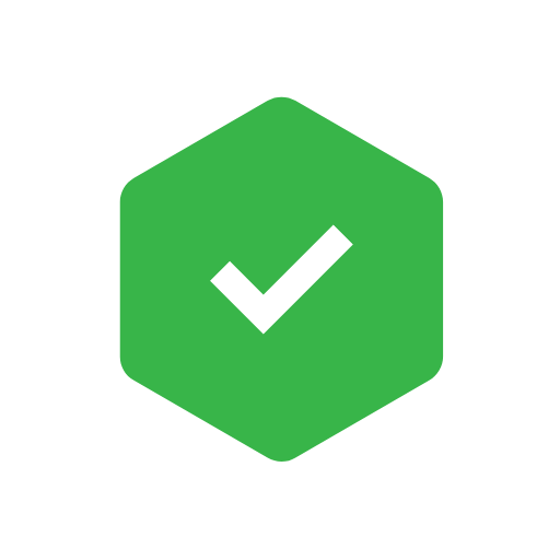 icone check vert